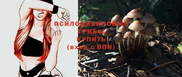 соль ск Волосово